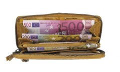 Kožená peněženka na zip dlouhá Greenburry 2906-45